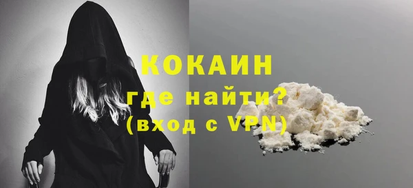 прущие грибы Покров